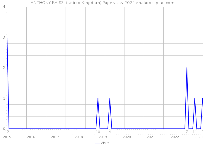 ANTHONY RAISSI (United Kingdom) Page visits 2024 