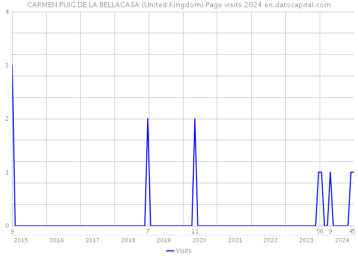 CARMEN PUIG DE LA BELLACASA (United Kingdom) Page visits 2024 