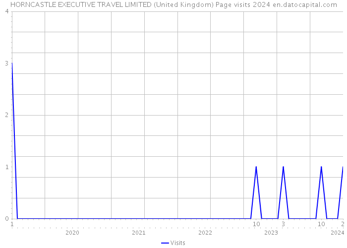 HORNCASTLE EXECUTIVE TRAVEL LIMITED (United Kingdom) Page visits 2024 
