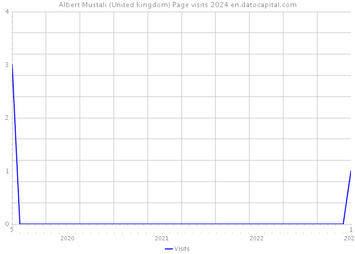 Albert Mustali (United Kingdom) Page visits 2024 