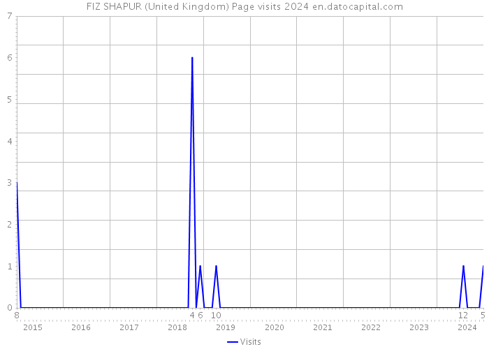 FIZ SHAPUR (United Kingdom) Page visits 2024 