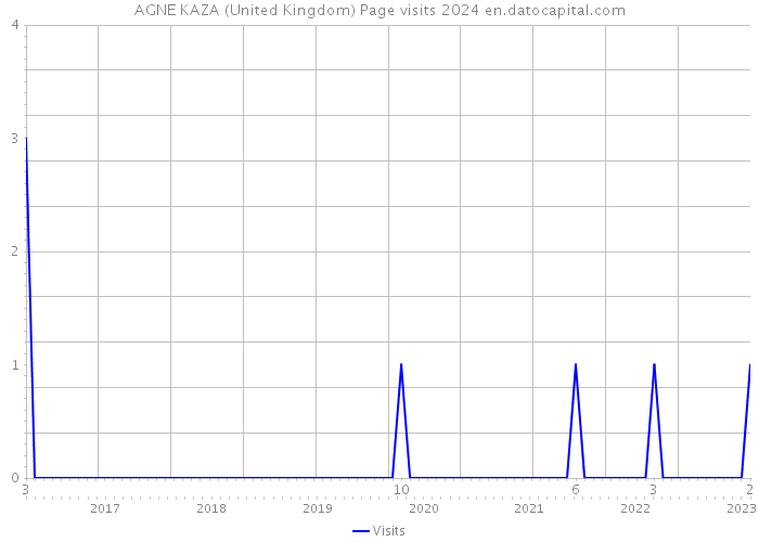 AGNE KAZA (United Kingdom) Page visits 2024 