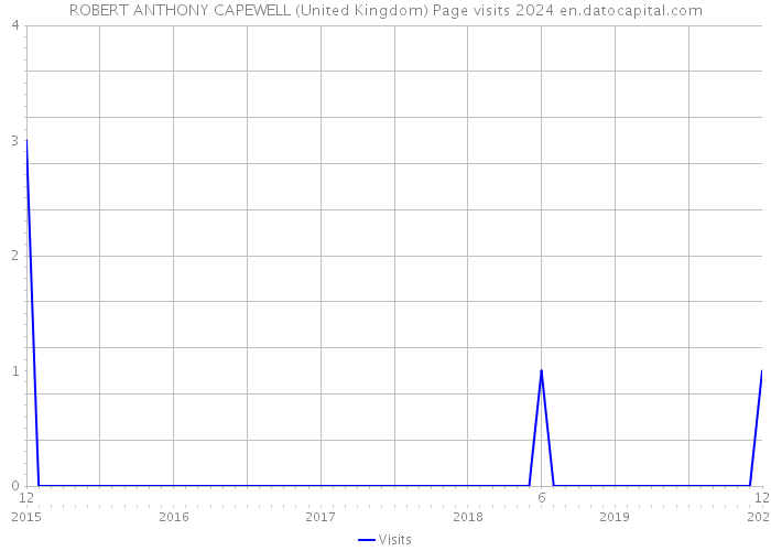 ROBERT ANTHONY CAPEWELL (United Kingdom) Page visits 2024 