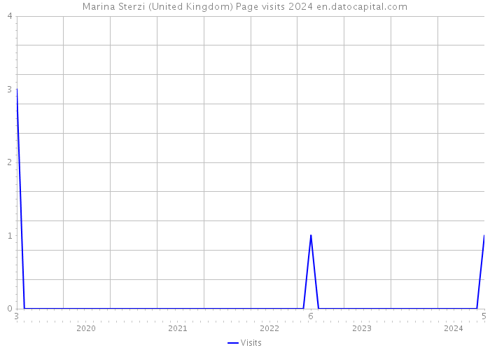Marina Sterzi (United Kingdom) Page visits 2024 