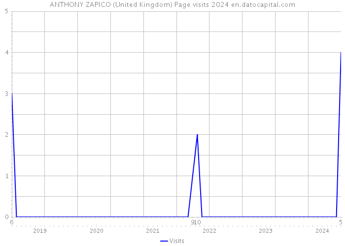 ANTHONY ZAPICO (United Kingdom) Page visits 2024 