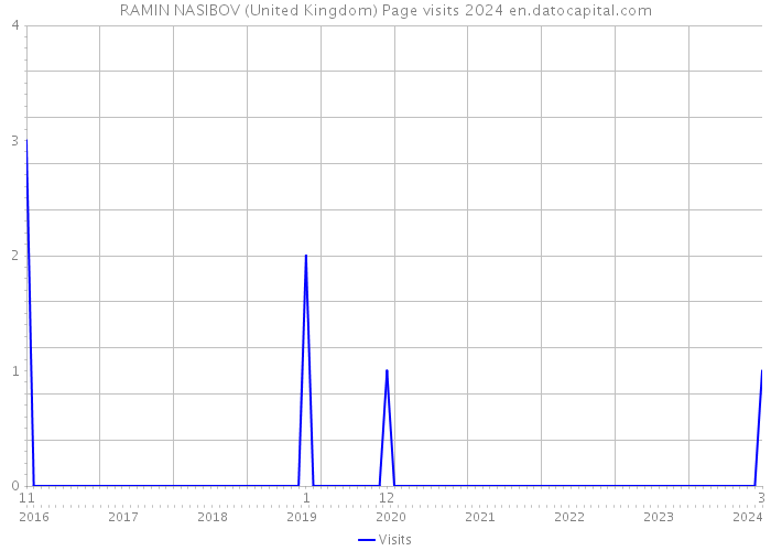 RAMIN NASIBOV (United Kingdom) Page visits 2024 