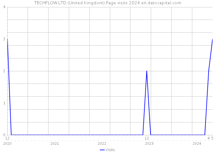 TECHFLOW LTD (United Kingdom) Page visits 2024 