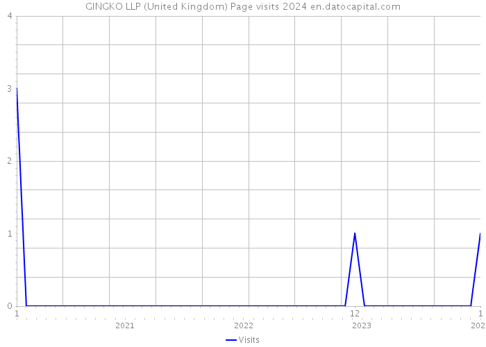 GINGKO LLP (United Kingdom) Page visits 2024 