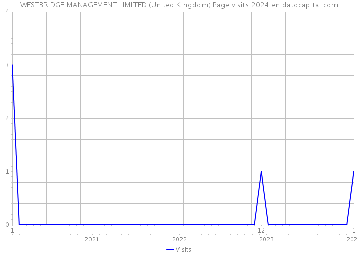 WESTBRIDGE MANAGEMENT LIMITED (United Kingdom) Page visits 2024 
