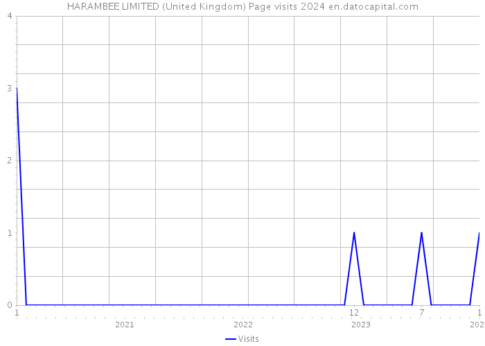 HARAMBEE LIMITED (United Kingdom) Page visits 2024 