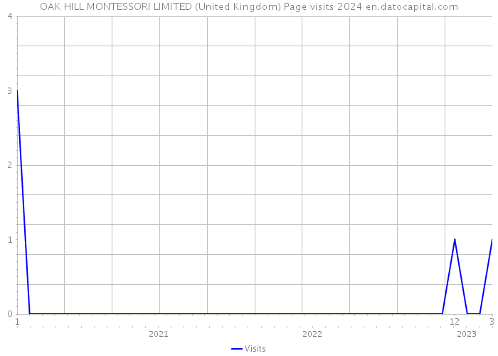 OAK HILL MONTESSORI LIMITED (United Kingdom) Page visits 2024 