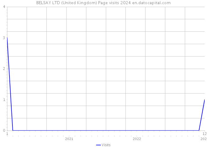 BELSAY LTD (United Kingdom) Page visits 2024 