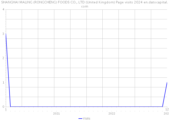 SHANGHAI MALING (RONGCHENG) FOODS CO., LTD (United Kingdom) Page visits 2024 