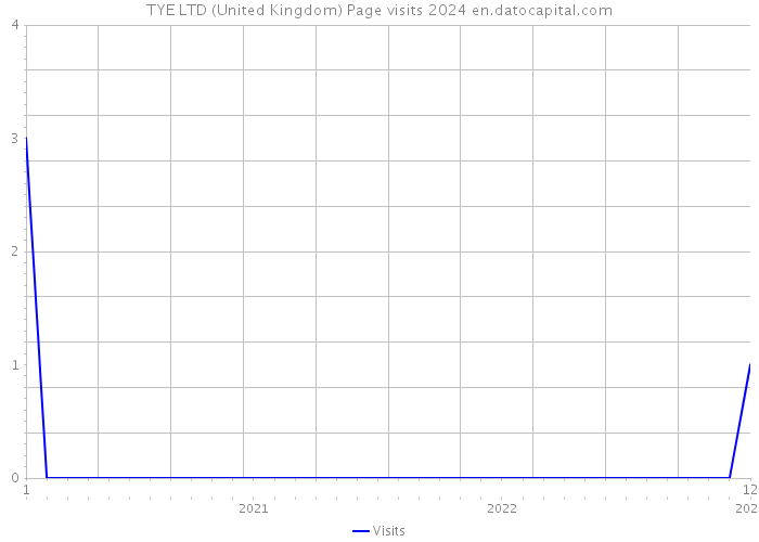 TYE LTD (United Kingdom) Page visits 2024 