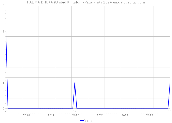 HALIMA DHUKA (United Kingdom) Page visits 2024 