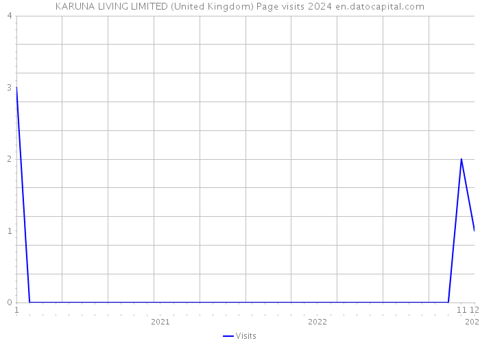 KARUNA LIVING LIMITED (United Kingdom) Page visits 2024 