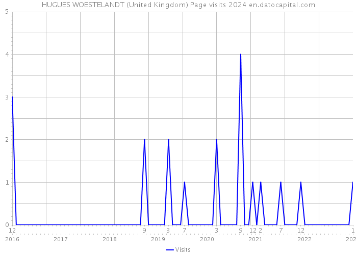HUGUES WOESTELANDT (United Kingdom) Page visits 2024 