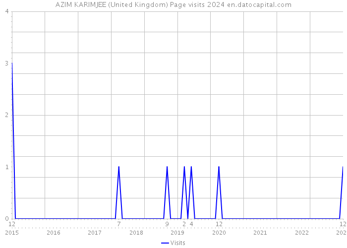 AZIM KARIMJEE (United Kingdom) Page visits 2024 