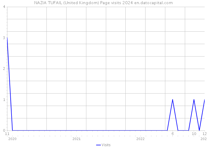 NAZIA TUFAIL (United Kingdom) Page visits 2024 