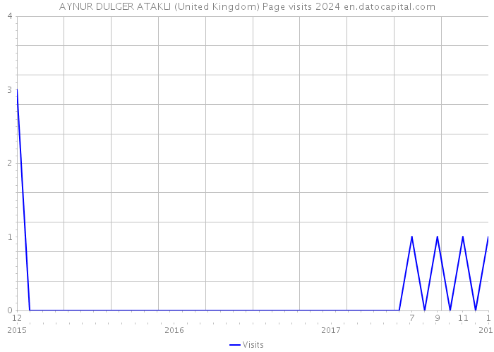 AYNUR DULGER ATAKLI (United Kingdom) Page visits 2024 