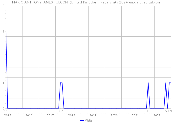 MARIO ANTHONY JAMES FULGONI (United Kingdom) Page visits 2024 