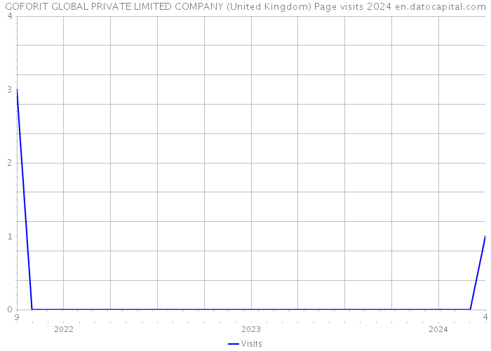GOFORIT GLOBAL PRIVATE LIMITED COMPANY (United Kingdom) Page visits 2024 