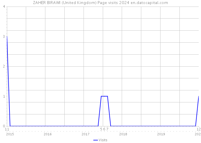 ZAHER BIRAWI (United Kingdom) Page visits 2024 