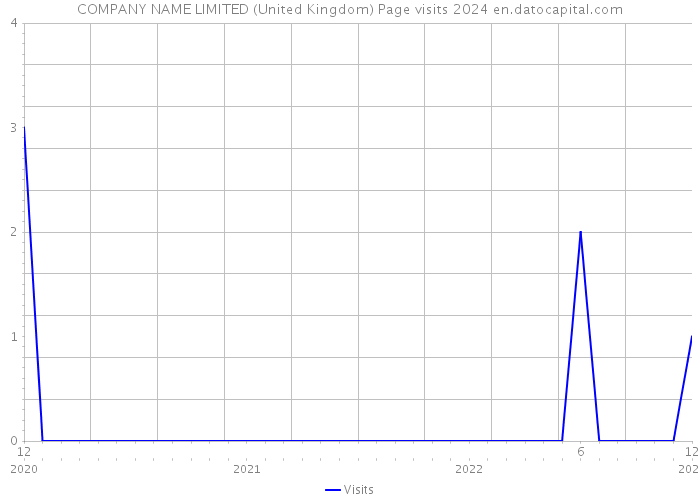COMPANY NAME LIMITED (United Kingdom) Page visits 2024 