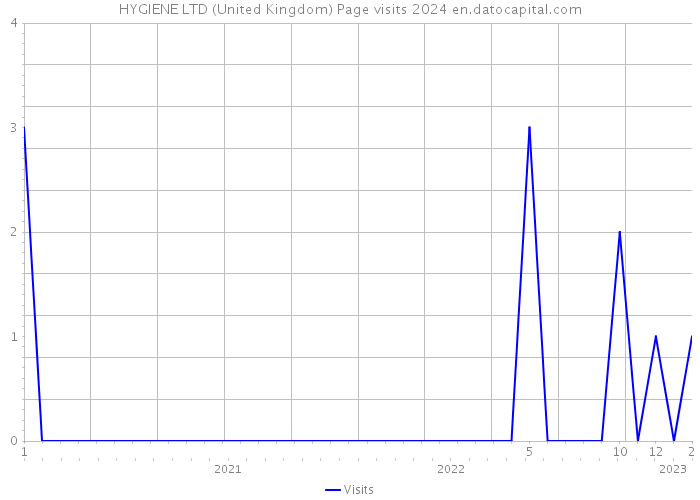 HYGIENE LTD (United Kingdom) Page visits 2024 
