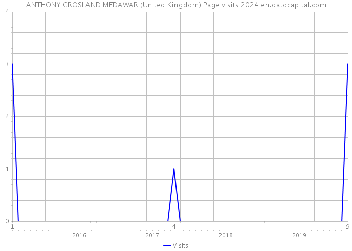 ANTHONY CROSLAND MEDAWAR (United Kingdom) Page visits 2024 