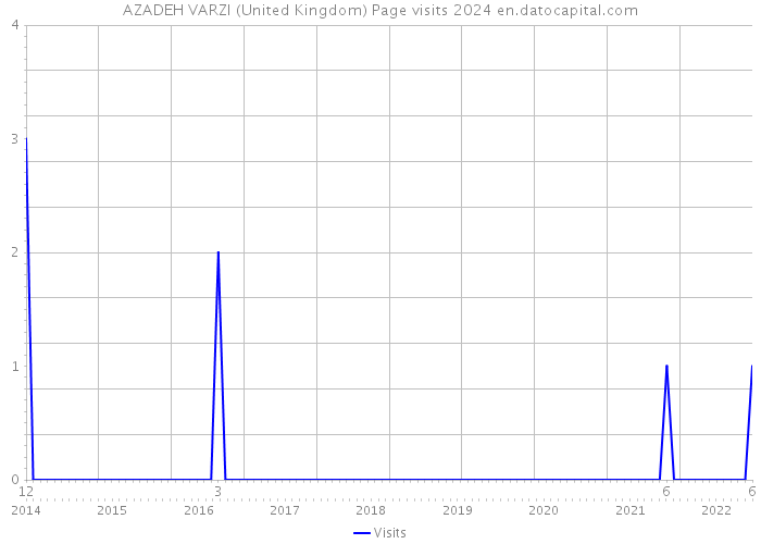 AZADEH VARZI (United Kingdom) Page visits 2024 