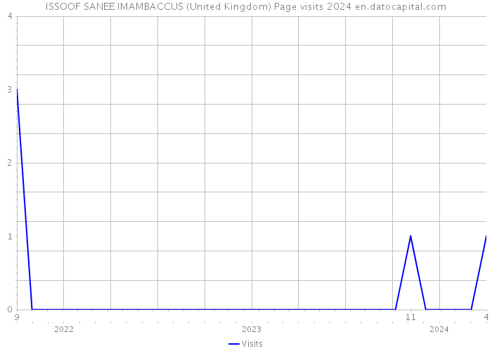 ISSOOF SANEE IMAMBACCUS (United Kingdom) Page visits 2024 