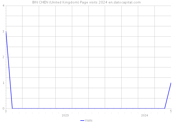 BIN CHEN (United Kingdom) Page visits 2024 