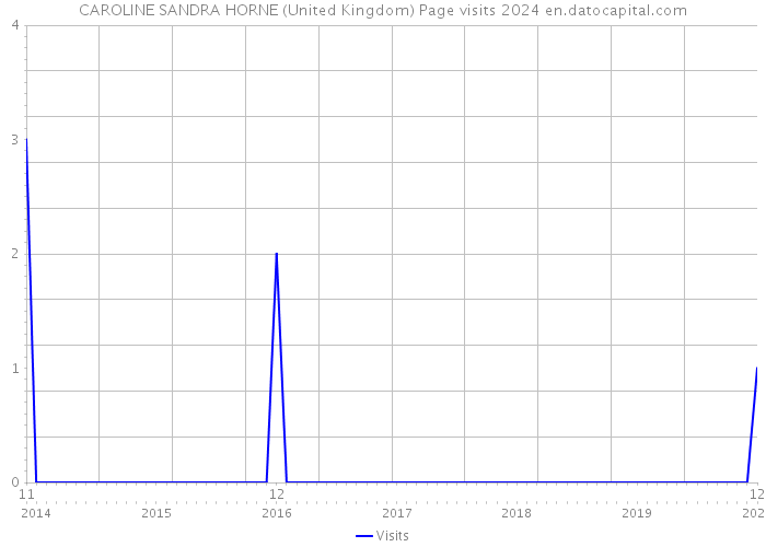 CAROLINE SANDRA HORNE (United Kingdom) Page visits 2024 