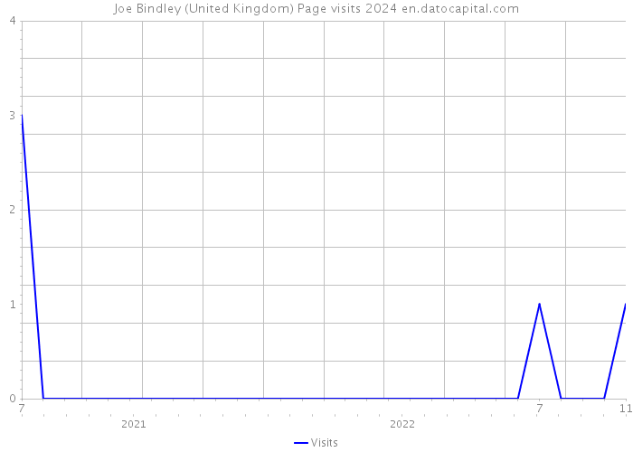 Joe Bindley (United Kingdom) Page visits 2024 