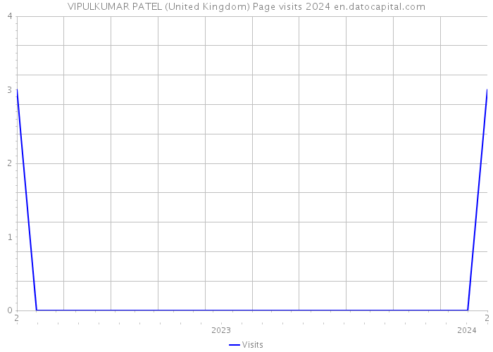 VIPULKUMAR PATEL (United Kingdom) Page visits 2024 