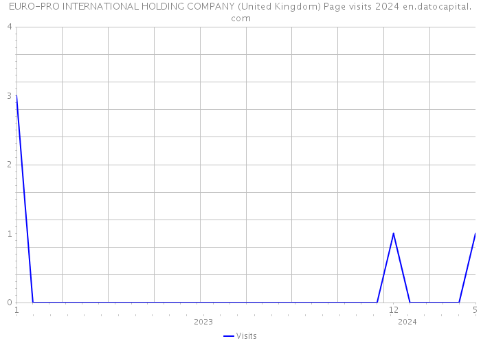 EURO-PRO INTERNATIONAL HOLDING COMPANY (United Kingdom) Page visits 2024 