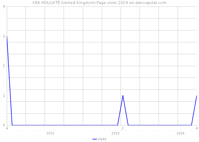 KEA HOLGATE (United Kingdom) Page visits 2024 