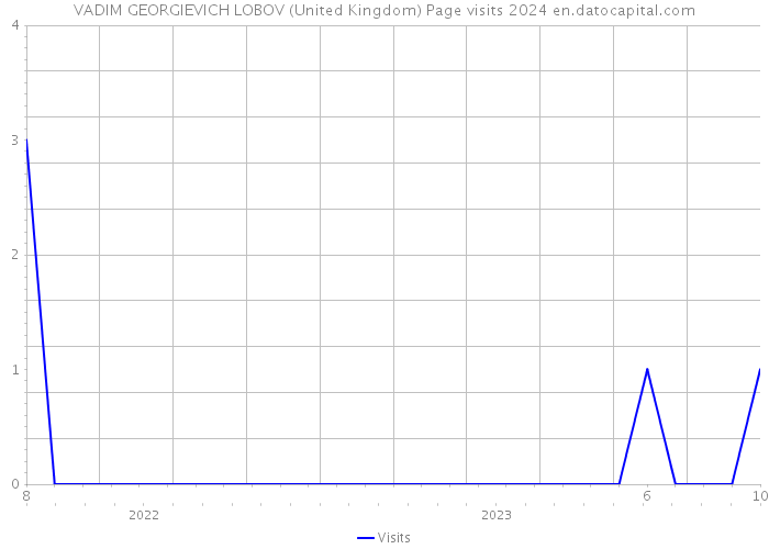 VADIM GEORGIEVICH LOBOV (United Kingdom) Page visits 2024 