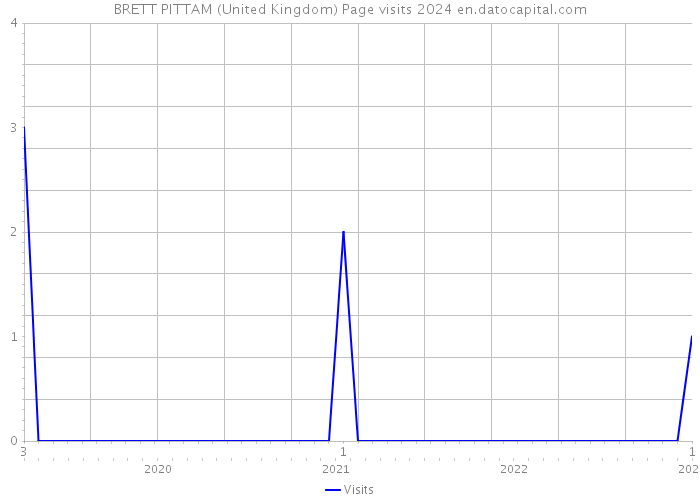 BRETT PITTAM (United Kingdom) Page visits 2024 
