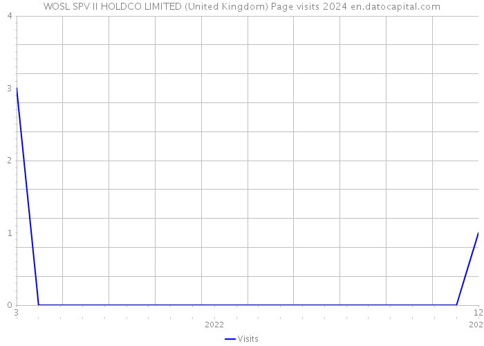 WOSL SPV II HOLDCO LIMITED (United Kingdom) Page visits 2024 