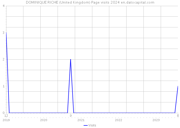 DOMINIQUE RICHE (United Kingdom) Page visits 2024 