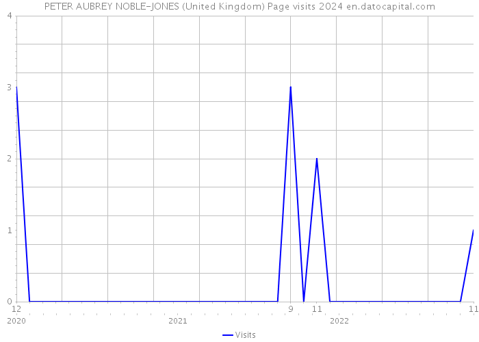 PETER AUBREY NOBLE-JONES (United Kingdom) Page visits 2024 