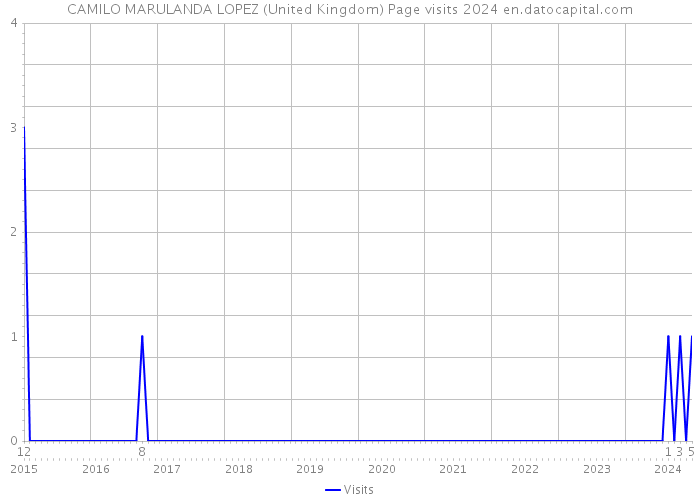 CAMILO MARULANDA LOPEZ (United Kingdom) Page visits 2024 