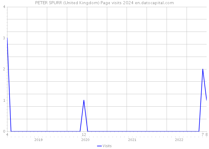 PETER SPURR (United Kingdom) Page visits 2024 