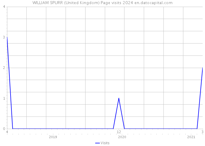 WILLIAM SPURR (United Kingdom) Page visits 2024 