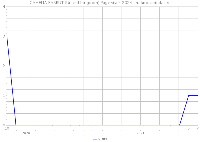 CAMELIA BARBUT (United Kingdom) Page visits 2024 