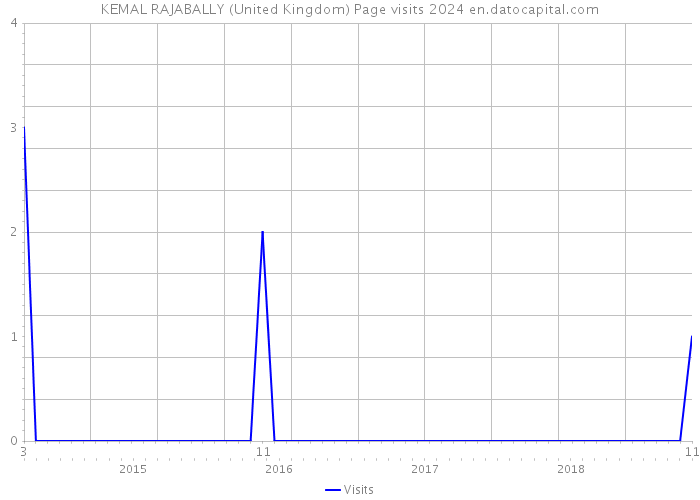 KEMAL RAJABALLY (United Kingdom) Page visits 2024 
