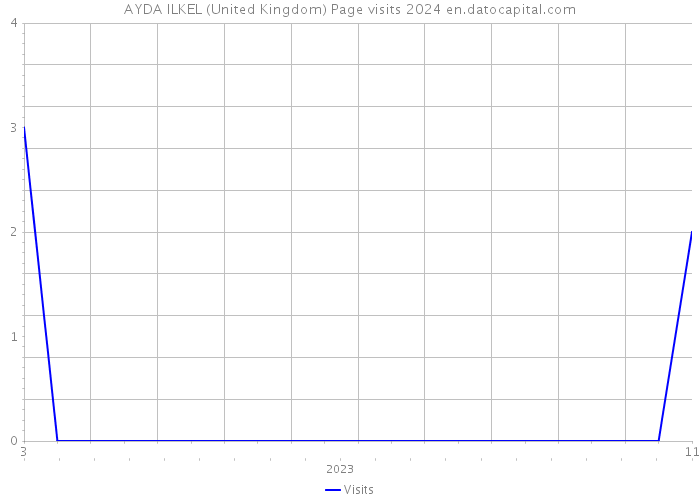 AYDA ILKEL (United Kingdom) Page visits 2024 