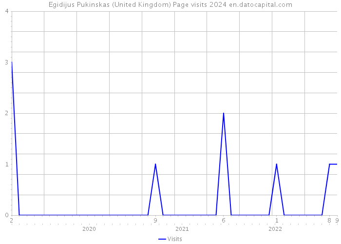 Egidijus Pukinskas (United Kingdom) Page visits 2024 
